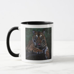 Caneca O tigre Cub reclina na rocha