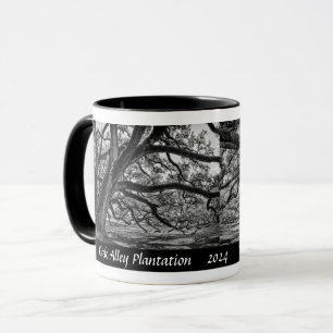 Caneca Oak Beco Plantation Live Oak Trees em B/W