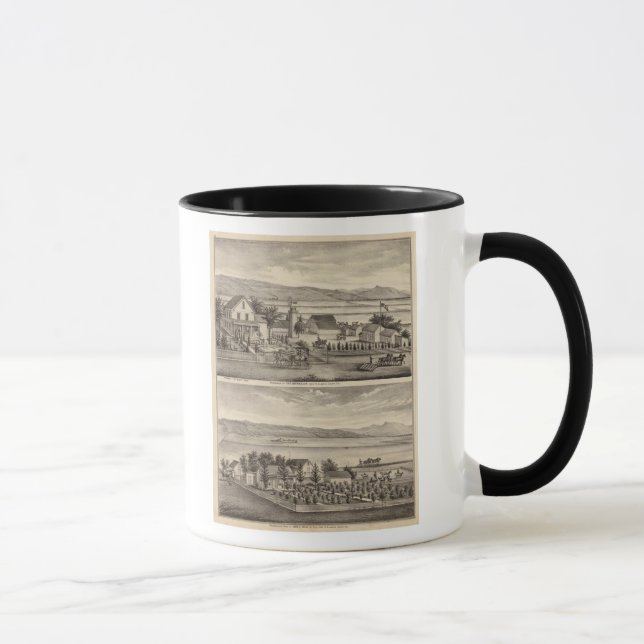 Caneca Obermuller, residências selvagens (Direita)