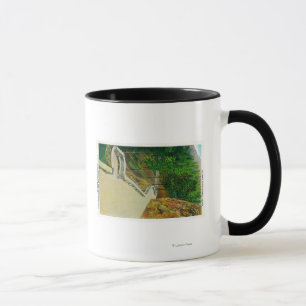 Caneca Obervatório do ninho de Eagle no Rio Columbia