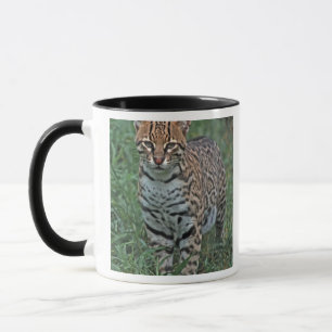 Caneca OCELOTE (Leopardus pardalis) AMÉRICA CENTRAL