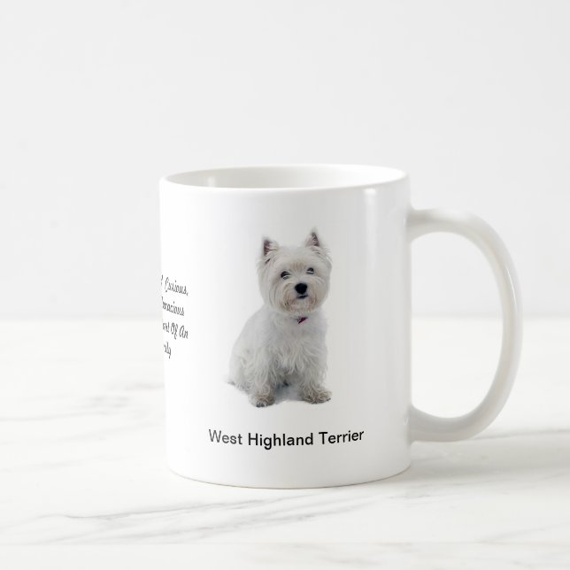Caneca ocidental de Terrier das montanhas com (Direita)
