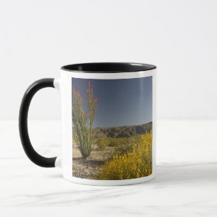 Caneca Ocotillo e senna do deserto