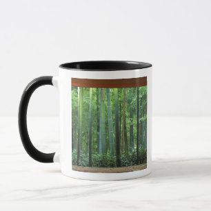 Caneca Okochi Sanso, Arashiyama, Quioto, Japão 3