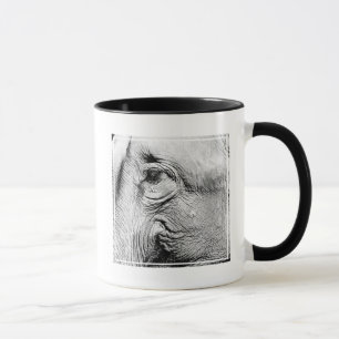 Caneca Olho de Elefantes, 2017