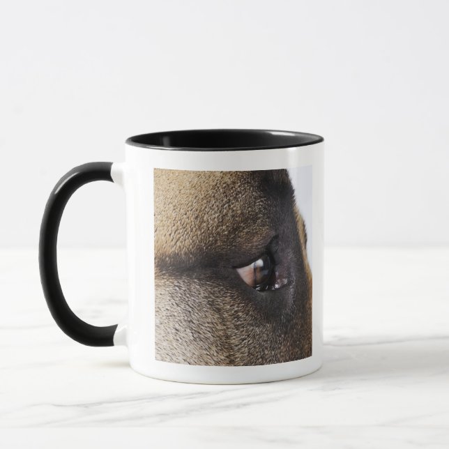 Caneca Olho de great dane (Esquerda)