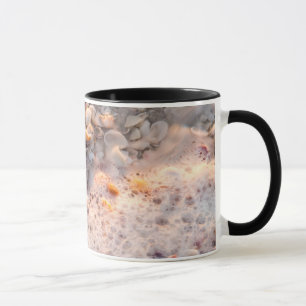 Caneca Ondas e Conchas Marinhas em Sanibel Island
