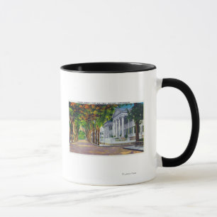 Caneca Opinião superior de rua principal de mansões