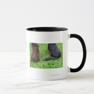 Caneca Opinião traseira dois cães do Dachshund