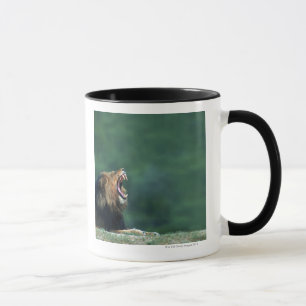 Caneca Opinião um leão (Panthera leo) que abre sua boca