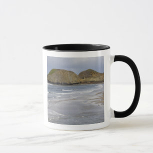 Caneca OR, Costa do Oregon, Parque Estadual Seal Rock,