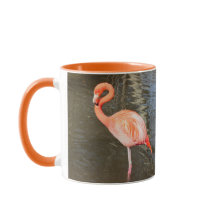 Orange Flamingo Photo