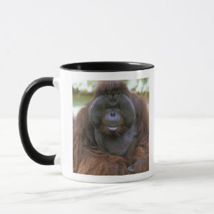 Caneca Orangotango Pongo Pygmaeus