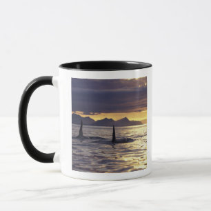 Caneca Orca ou baleias assassinas