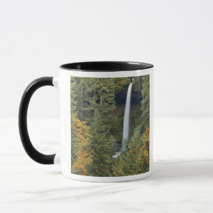 Caneca Oregon, Parque Estadual Silver Falls, North Falls