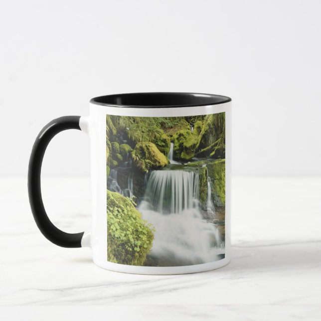 Caneca Oregon, Waterfall no Willamette (Esquerda)