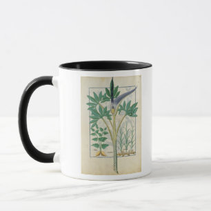 Caneca Orquídea