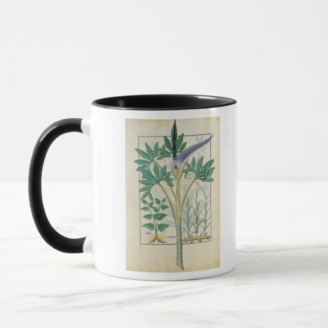 Caneca Orquídea (Esquerda)