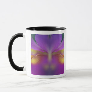 Caneca Orquídea híbrida, Flórida 2