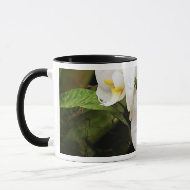 Caneca Orquídea Lua Branca (Phalaenopsis Aphrodite) (Esquerda)