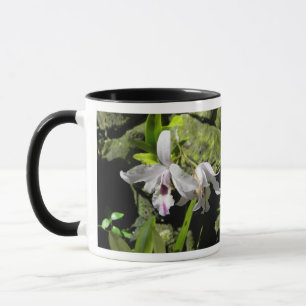 Caneca Orquídeas brancas