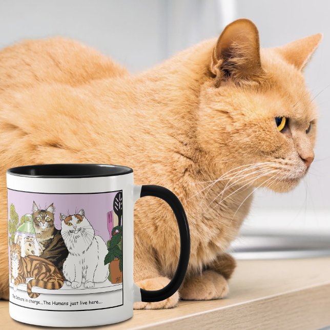 Caneca Os Gatos Estão no Comando (Criador carregado)