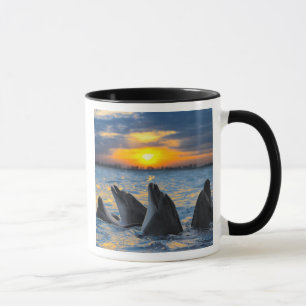 Caneca Os golfinhos garrafa-cheirados na luz do por do