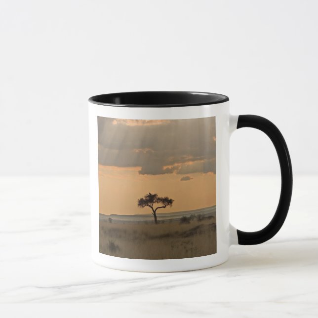 Caneca Os raios de sol laserando através da tarde (Direita)