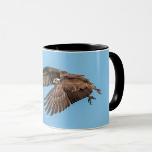 Caneca Osprey em voo no Parque Estadual da Ilha de Honeym