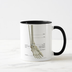 Caneca Ossos do pé 6