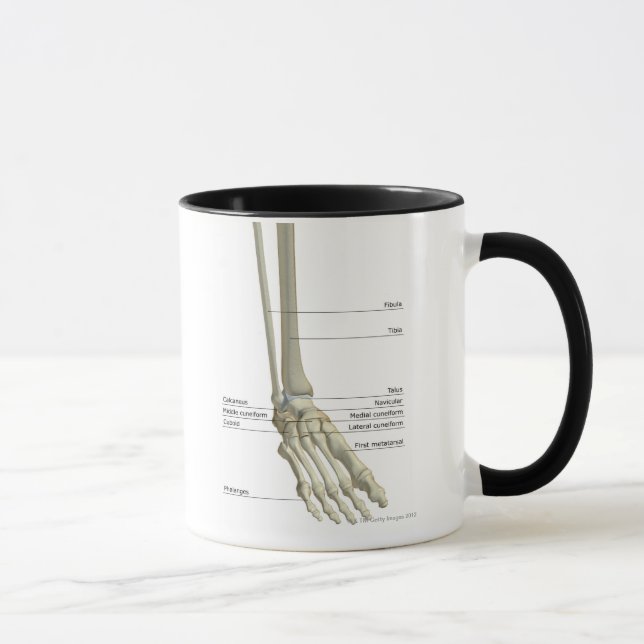 Caneca Ossos do pé 6 (Direita)