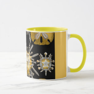 Caneca Ouriços-do-mar macro das criaturas do mar