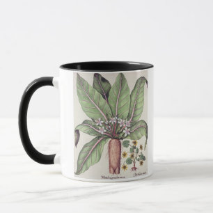 Caneca Outono Mandrake, do "Hortus Eystettensis" perto