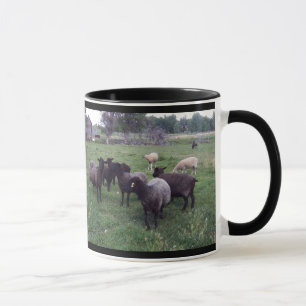 Caneca Ovelhas negras