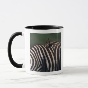 Caneca oxpecker Amarelo-faturado (africanus de Buphagus)