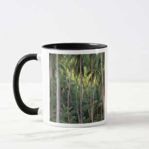 Caneca Pacífico Sul, Polinésia Francesa, Bora Bora.