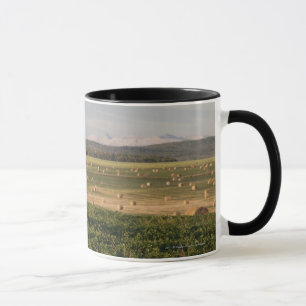 Caneca Pacotes de feno em um campo com as montanhas no