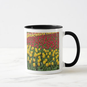 Caneca Padrão de jardim de tulipas, Jardins Keukenhof, 2