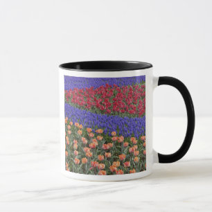 Caneca Padrão de tulipas e flores de Jacinto de Uva, 3