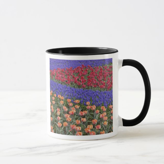 Caneca Padrão de tulipas e flores de Jacinto de Uva, 3 (Direita)
