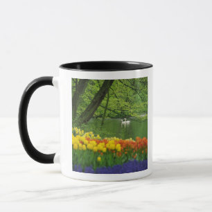 Caneca Países Baixos, Lisse. Cisnes brancos no lago em me