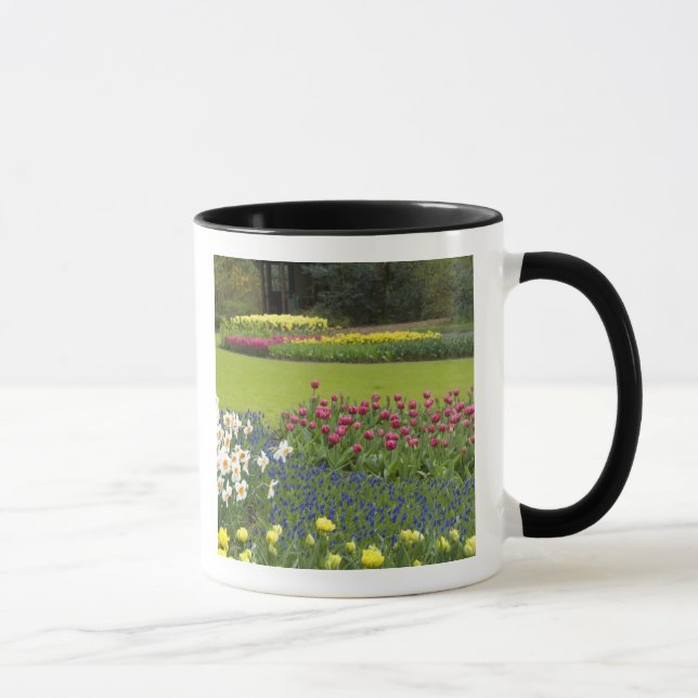 Caneca Países Baixos (também conhecido como Holanda), Lis (Direita)