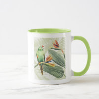 Palm Sai Com Pássaro Verde