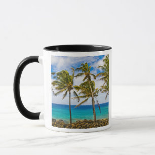 Caneca Palmeiras de coco (Cocos nucifera)