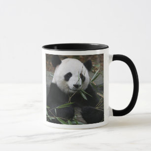 Caneca Panda gigante
