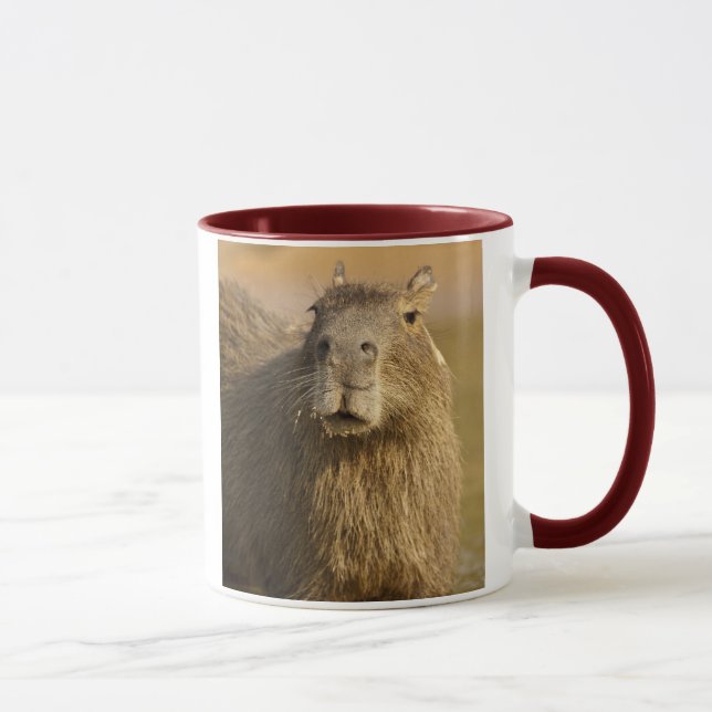 Caneca Pantanal, Brasil, Capybara, Hidrochoerus (Direita)
