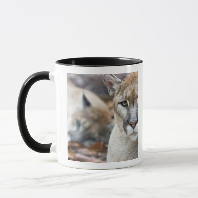 Caneca Pantera da Flórida (Esquerda)