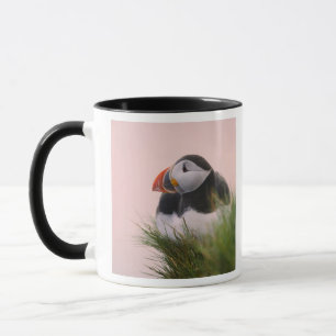 Caneca Papagaio-do-mar (Fratercula arctica)