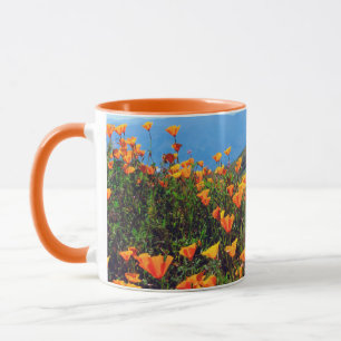 Caneca Papoulas da Califórnia cobrindo uma encosta