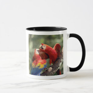 Caneca Par de Araras-vermelhas